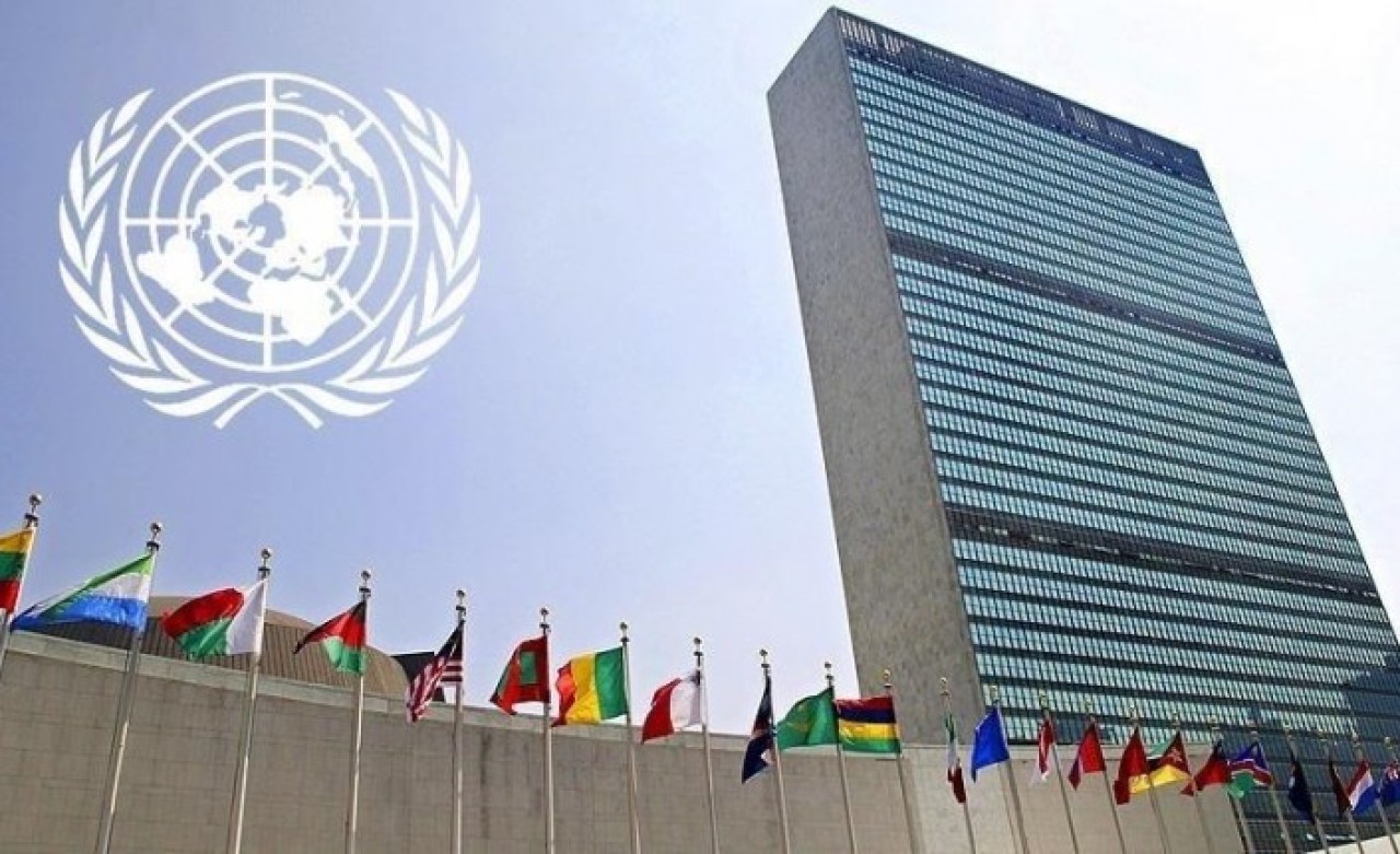 Afganistan'da gözaltına alınan yabancı gazeteciler serbest bırakıldı