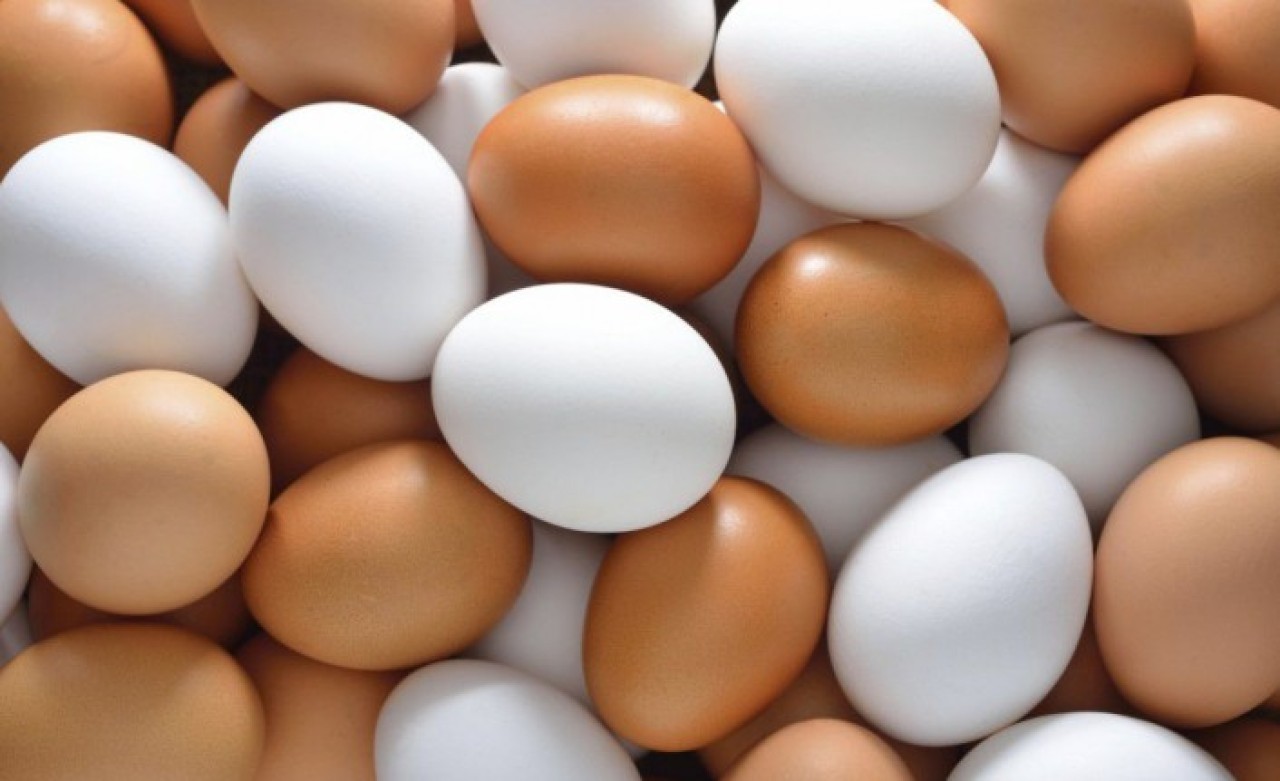 Müfettişler görevlendirdi: Yumurta fiyatları mercek altında