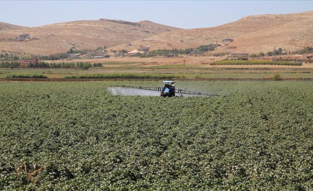 Çiftçilere destek: Tarım Kredi'den gübre fiyatlarında indirim