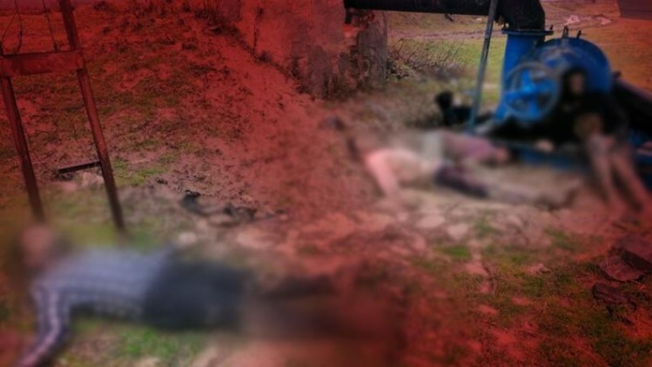 Edirne'de facia: 12 ceset bulundu