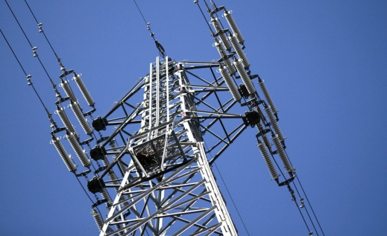 Pazar yerine düşen elektrik kablosu 24 kişiyi öldürdü