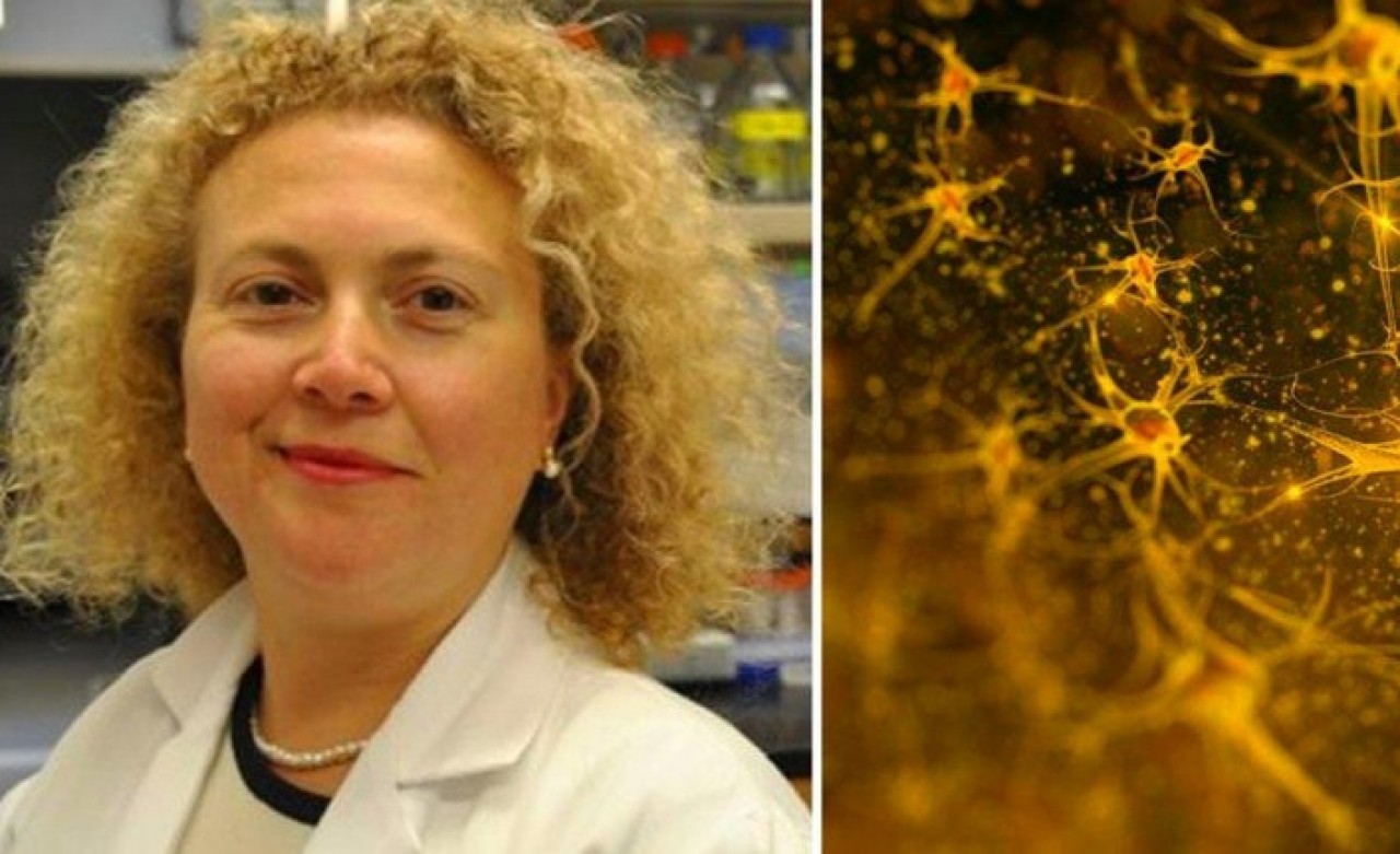 Tarihi buluş: Doç. Dr. Hande Özdinler ölü beyin hücresini yeniden canlandırdı