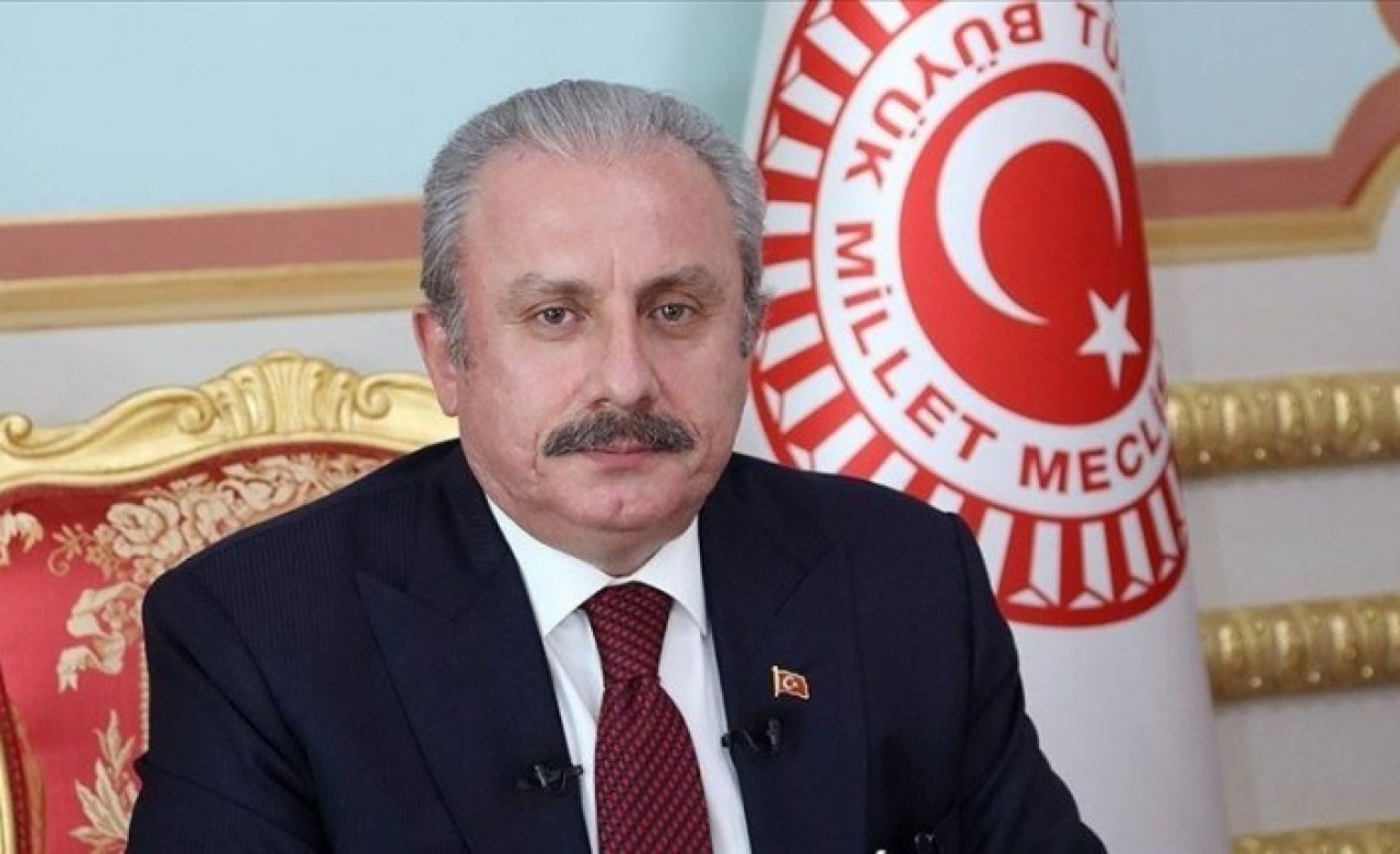 TBMM Başkanı Şentop: Rusya-Ukrayna arasındaki anlaşmazlıklar barışçıl yollarla çözülmeli