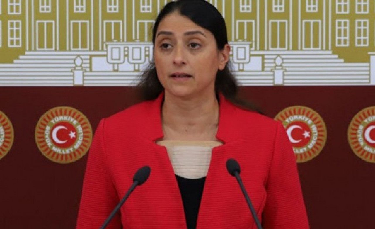 Türkiye'yi 'soykırım'la suçlayan HDP'li vekilden dostlarına skandal çağrı!