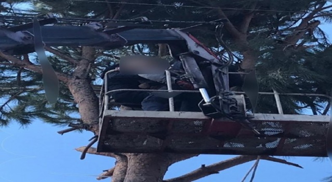 Altınoluk'ta çam ağacını budamak isteyen Saim Ünver öldü