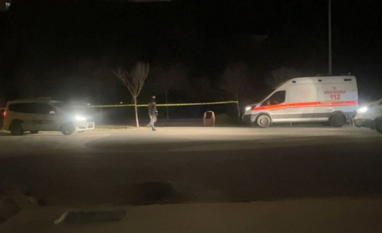 Biri iple boğulmuş,  biri ağaca asılı: Büyükçekmece'de 2 ceset bulundu