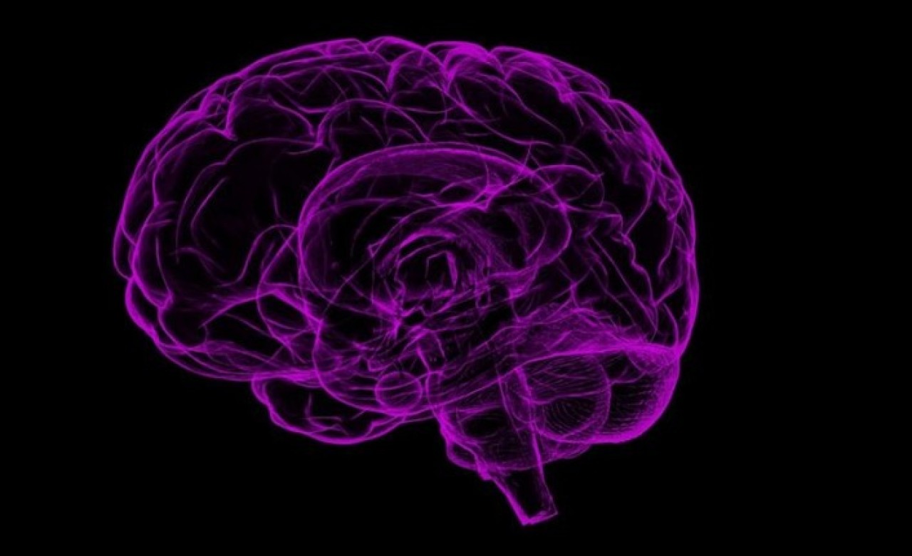 Epilepsi ile ilgili yanlış bilgiler tedavi sürecini zorlaştırabiliyor