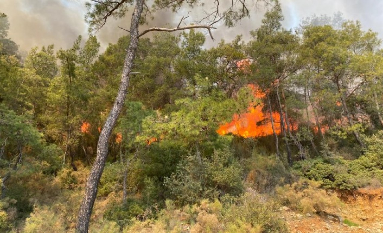Fethiye'de orman yangını çıktı
