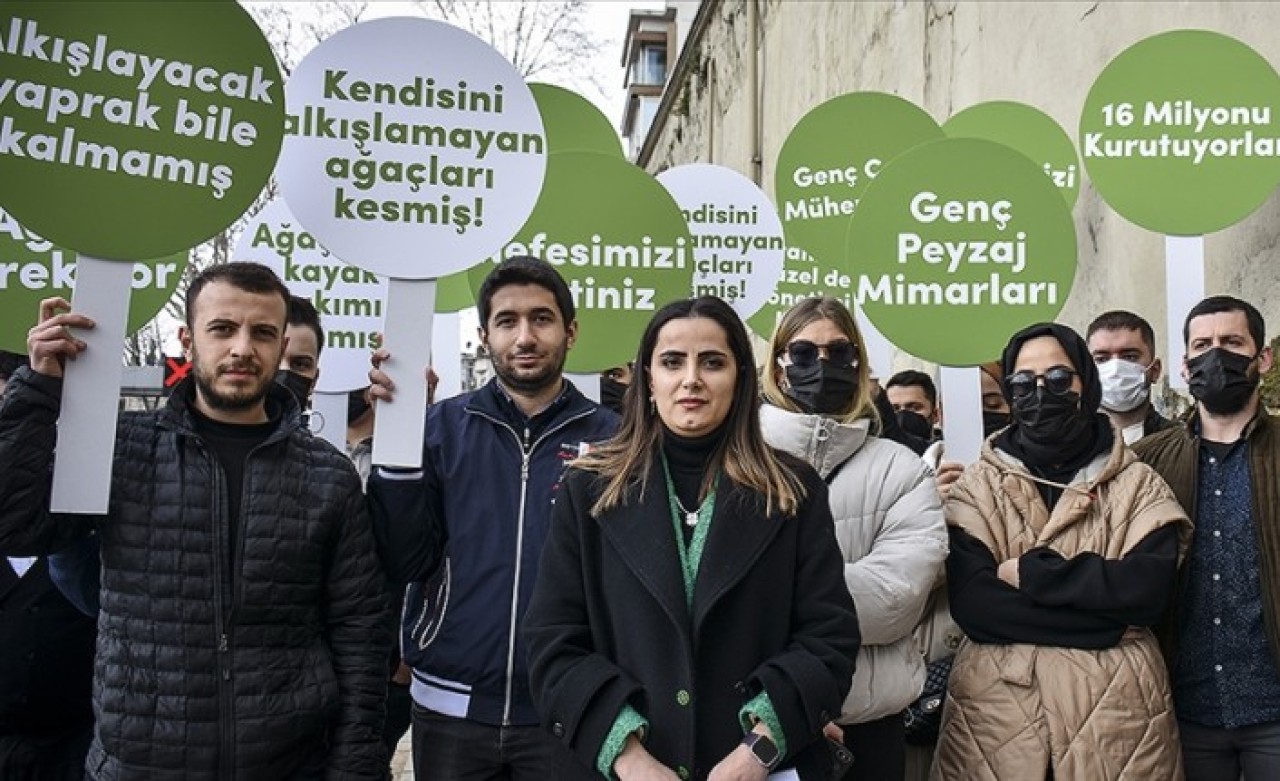 İBB'ye çınar tepkisi! Alkışlayacak yapraklar bile kalmamış