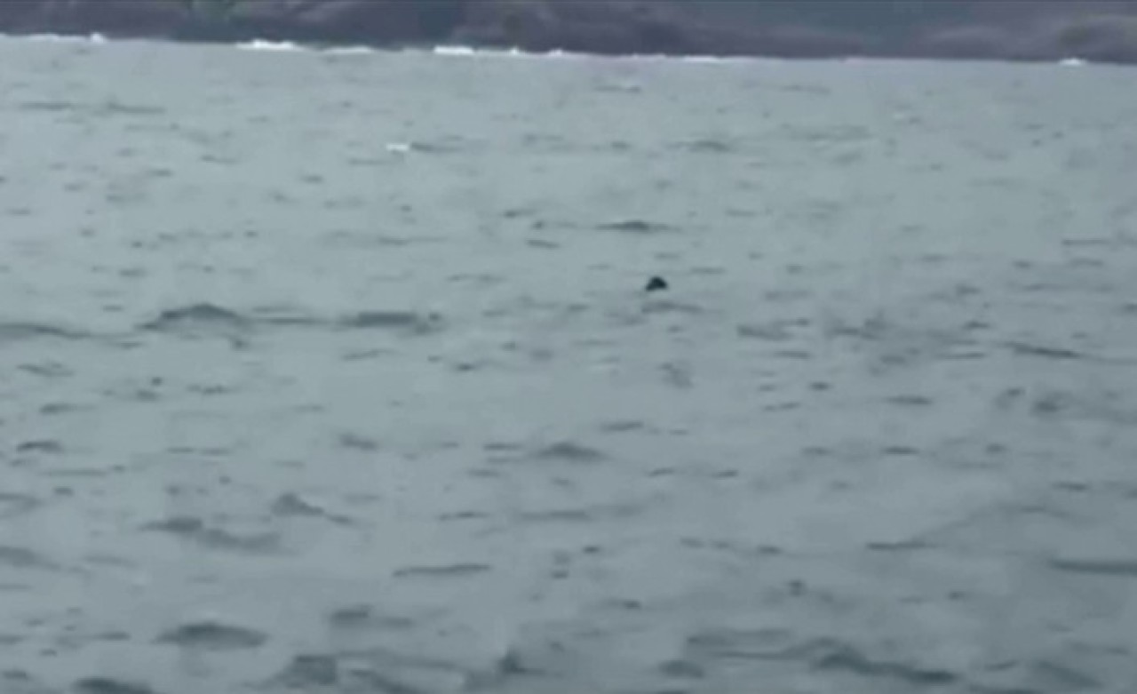 Mayın alarmı! İstanbul Boğazı kapatıldı: MSB'den açıklama