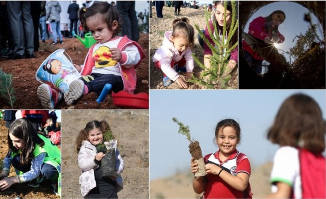 Orman Haftası kapsamında milyonlarca fidan toprakla buluşturuldu
