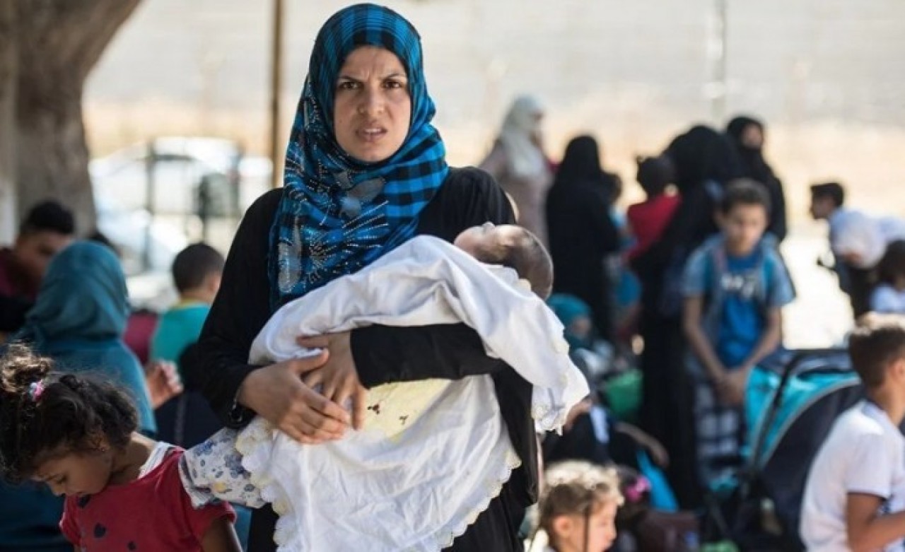 'Suriyeliler' araştırması gerçeği göz önüne serdi: Kaç bebek doğdu,  kaçı Türk vatandaşı oldu?