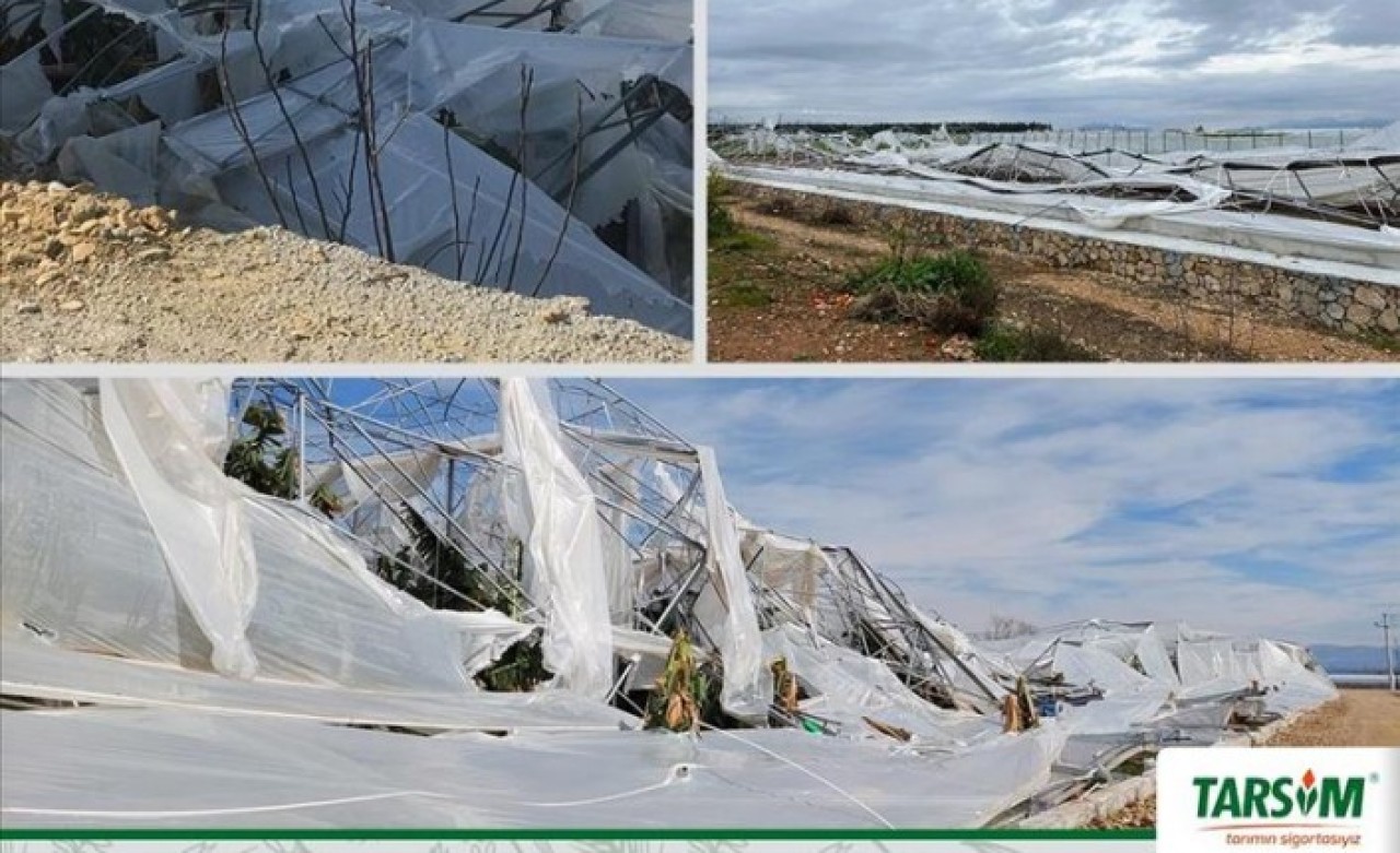 Antalyalı üreticilere 61, 5 milyon TL sera hasar ödemesi öngörüyor