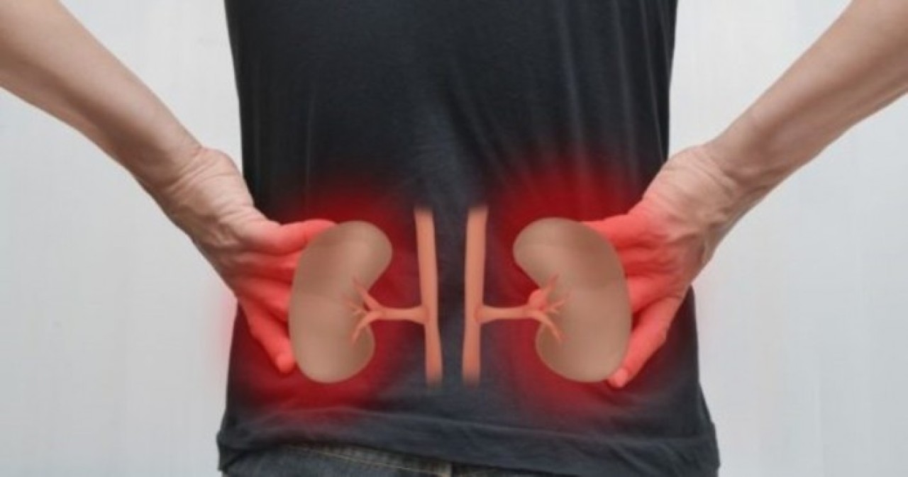 Türkiye'de her 7 kişiden birinde böbrek rahatsızlığı bulunuyor