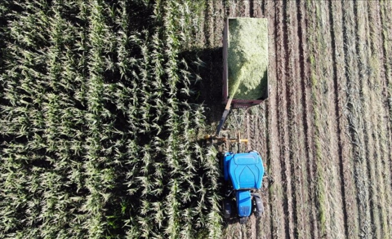 Uzman Eller Projesi başvurularında sona gelindi