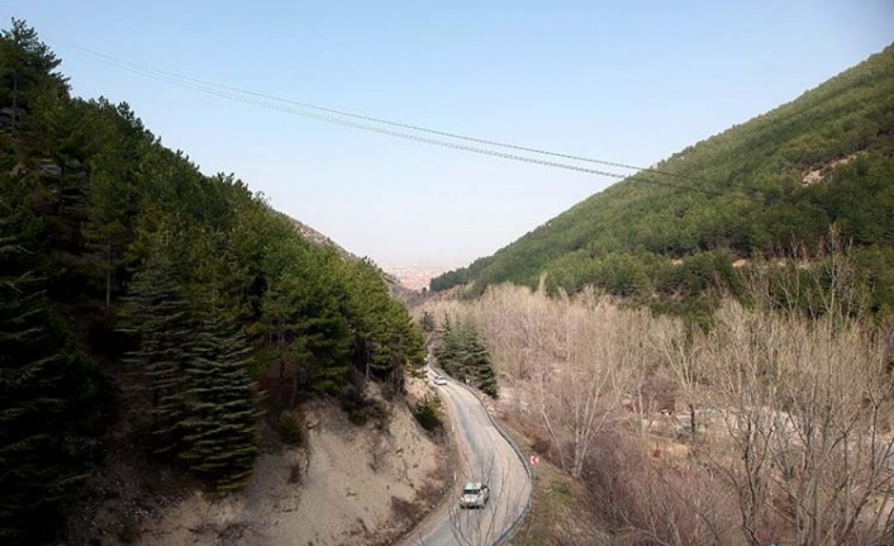 Ağaçlandırma seferberliğinin kahramanı 2 kardeş eserleri ormanla gurur duyuyor