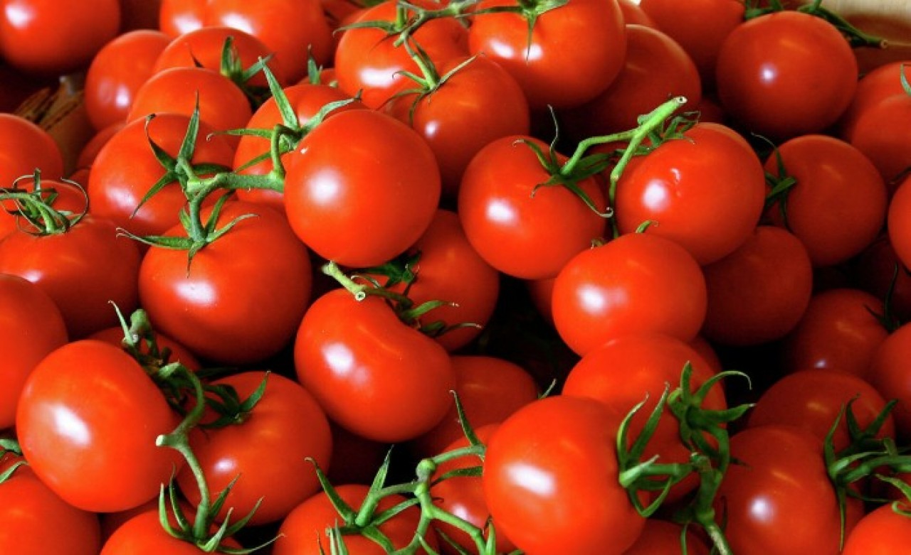Domates fiyatında son 7 yılın rekoru kırıldı!