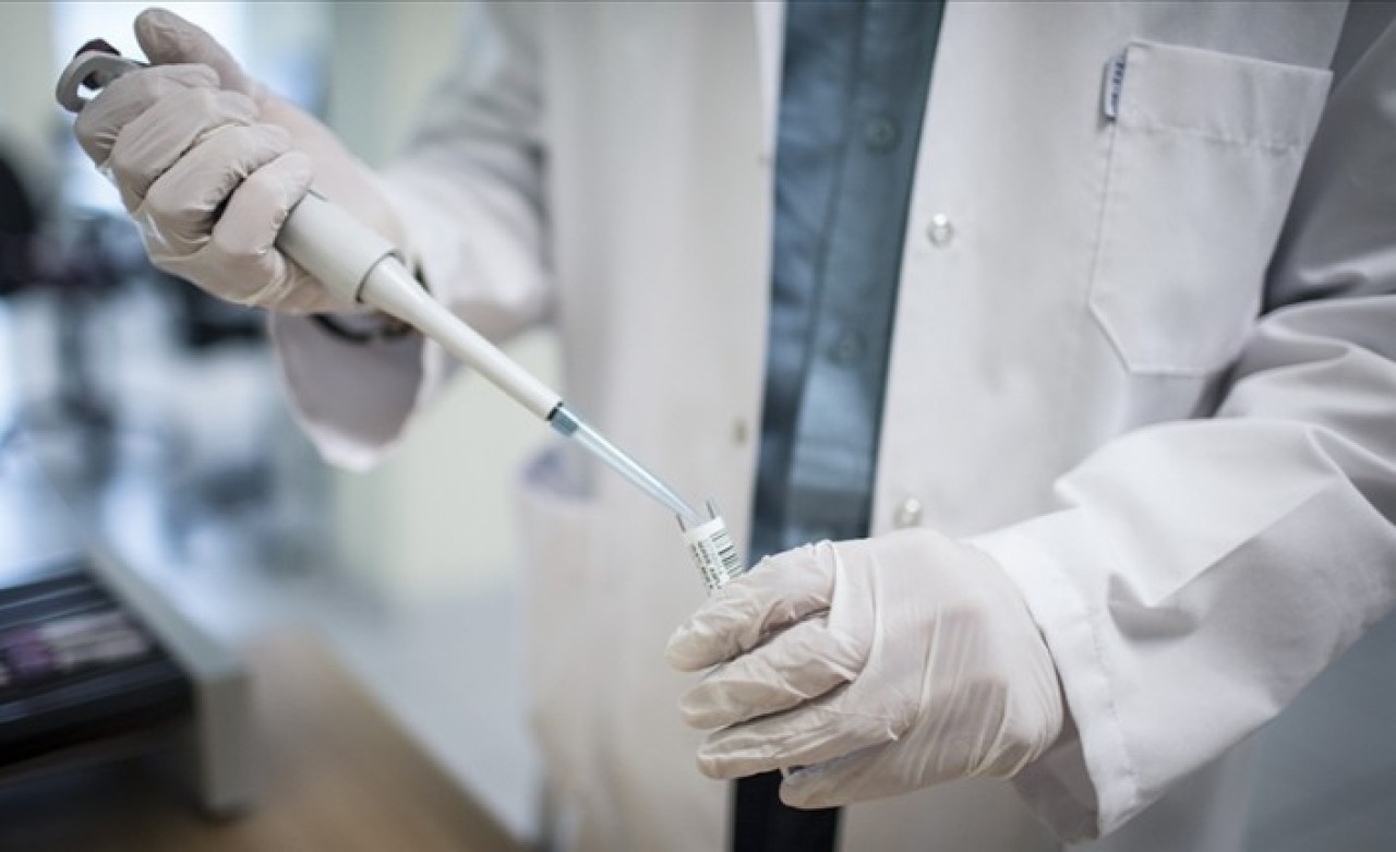 İnsan kanında plastik görülmesi ne anlama geliyor?