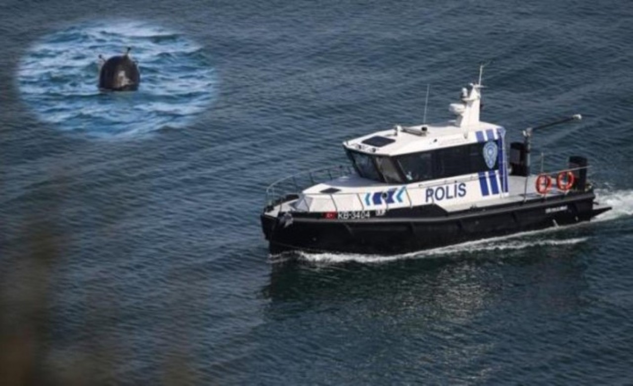 Karadeniz'e mayınları kim bıraktı: Bir ABD oyunu mu?