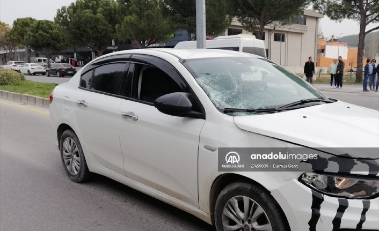Muğla'da otomobilin çarptığı Şirin Ceylan öldü
