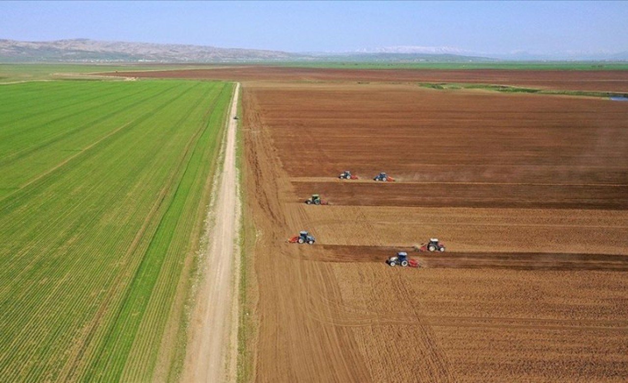 Tarım sektörü,  çiftçi ve girişimciye verilecek hibe desteğinden memnun