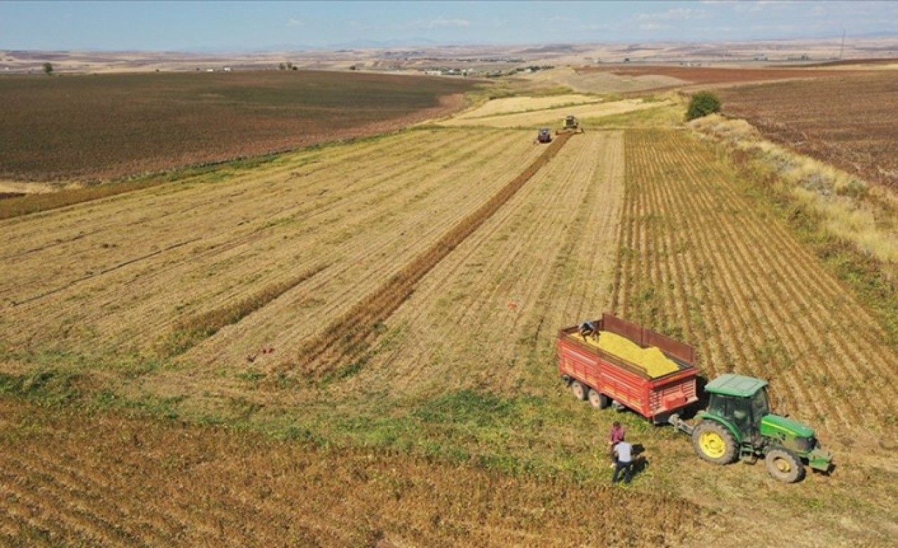 Tarım sektöründen tüm zamanların en yüksek ihracatı