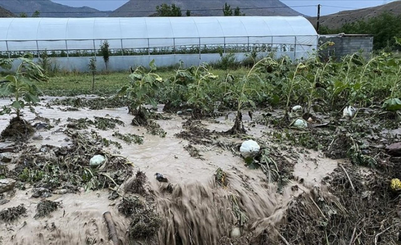 TARSİM'e taahhüt edilecek "hasar fazlası desteği" prim oranları belirlendi