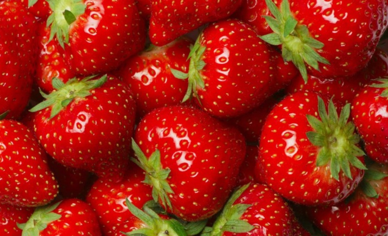 Felaketin biri bitmeden diğeri başlıyor! Şimdi de çileklerden yayılan hastalık patlak verdi