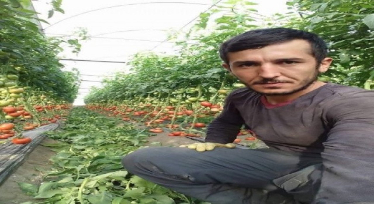 Muğla'da bacanak cinayeti: Yasin Bihan öldü