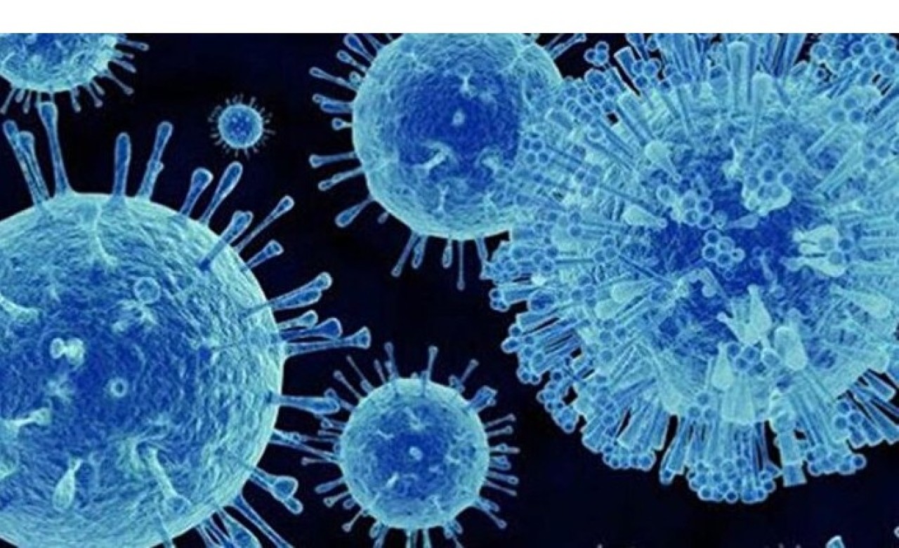 Son günlerin salgını Norovirüs nedir? Norovirüs belirtileri