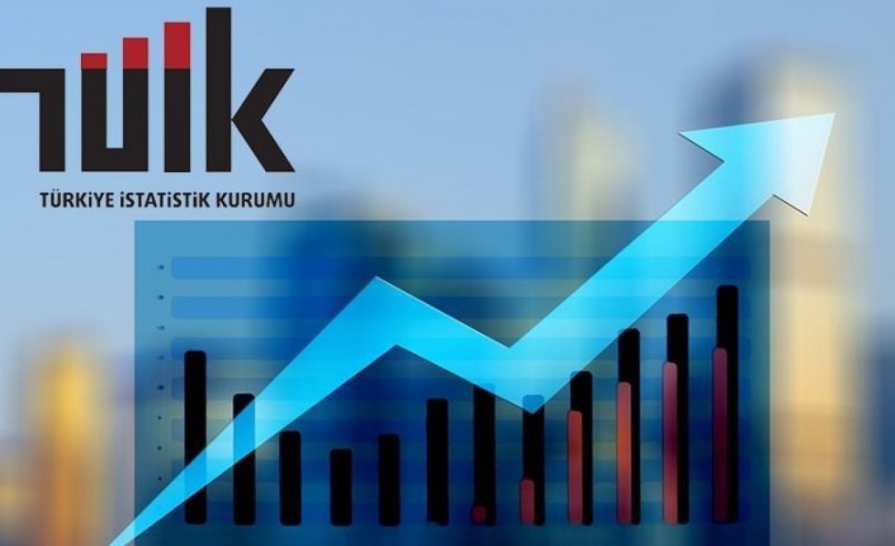 Türkiye İstatistik Kurumu Türkiye'nin gelir dağılımını açıkladı