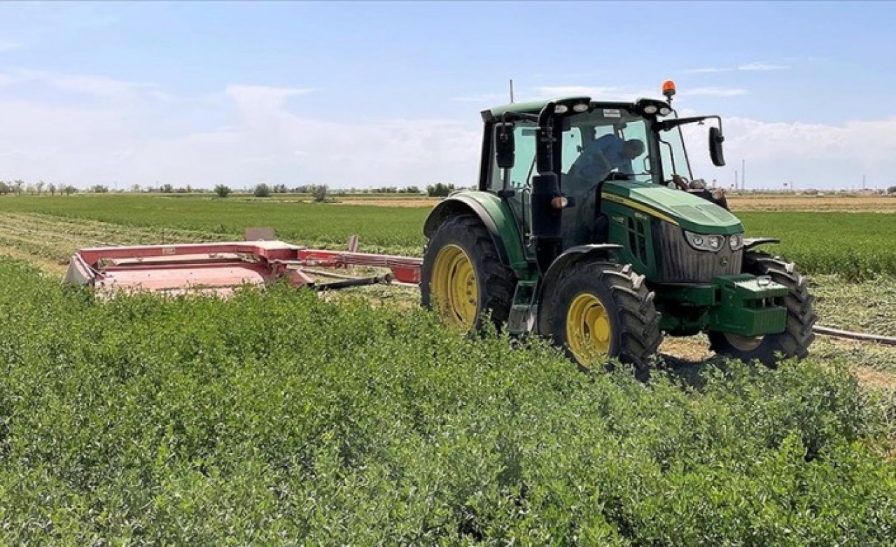 Tuz Gölü Havzası'nda yonca verimi üreticinin yüzünü güldürüyor