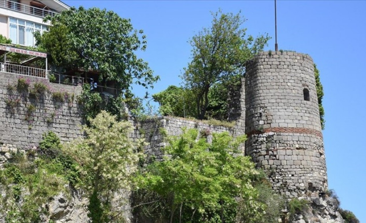 3 bin yıllık Amasra Kalesi'ne zarar veren ağaç kökleri temizlenecek