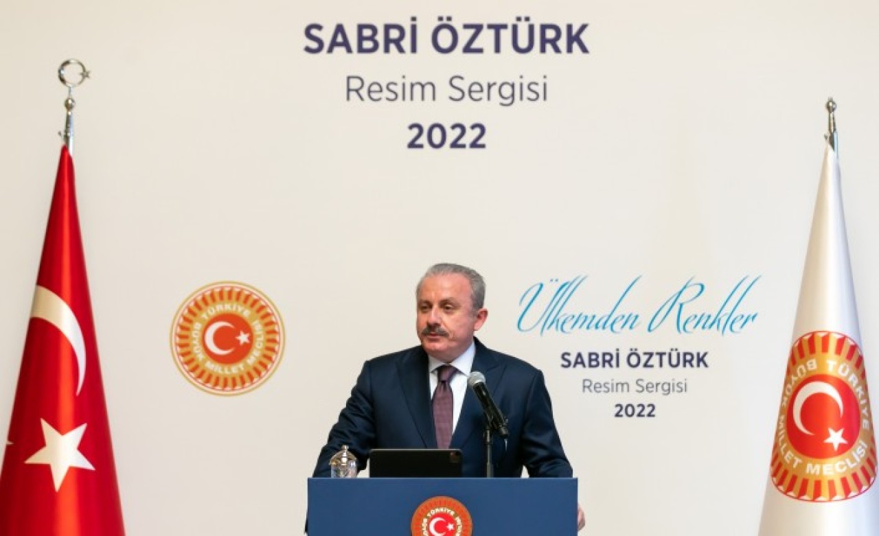 TBMM Başkanı Şentop,  AK Parti'li Öztürk'ün resim sergisini açtı