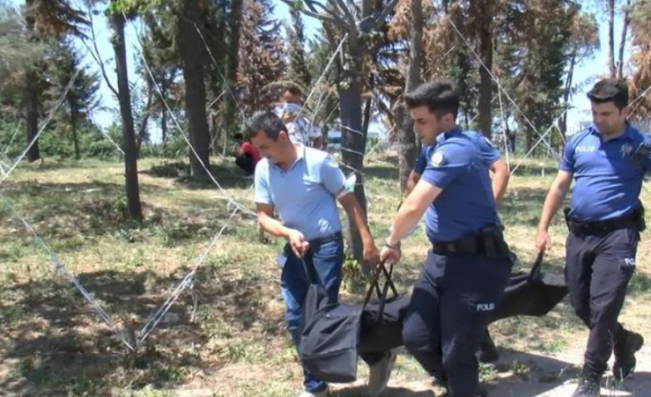 Elazığ'da 20 yaşındaki Ferhat Çelik ağaca asılı halde bulundu