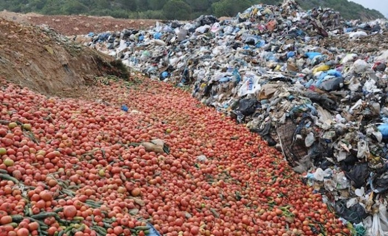 İç yakan görüntü: Antalya'da kilolarca domatesle hıyarı çöpe döktüler