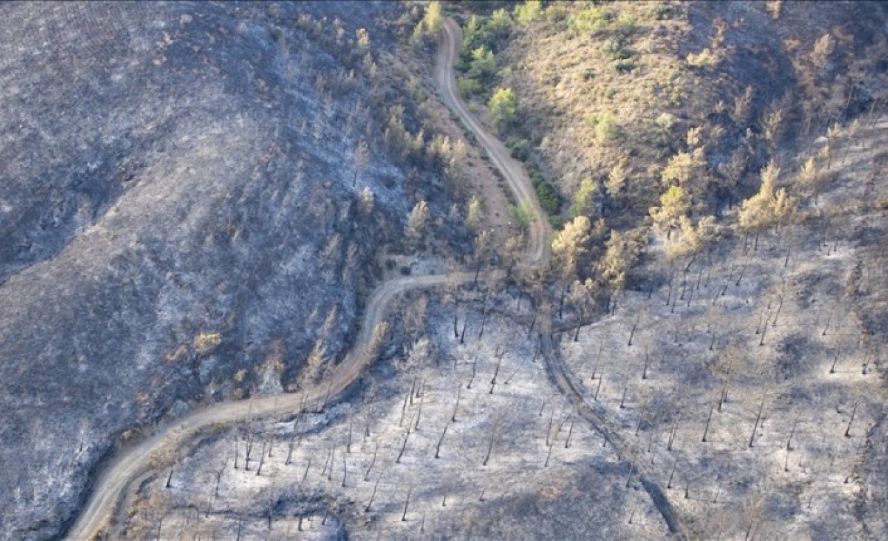 Marmaris'teki orman yangınıyla ilgili gözaltına alınan şüpheli tutuklandı