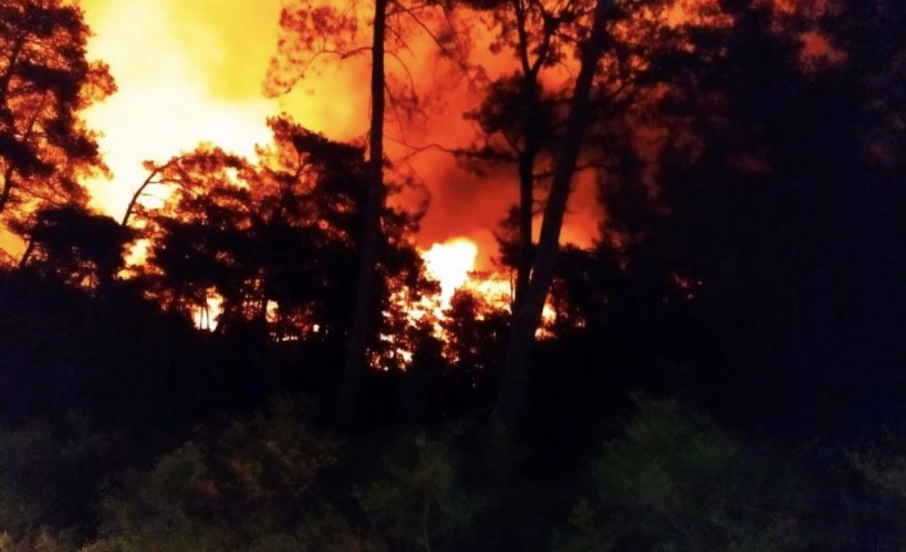 Marmaris yine yanıyor: Geçen yıldan kalan yerlerde de başladı. Bakan Kirişçi'den ilk açıklama