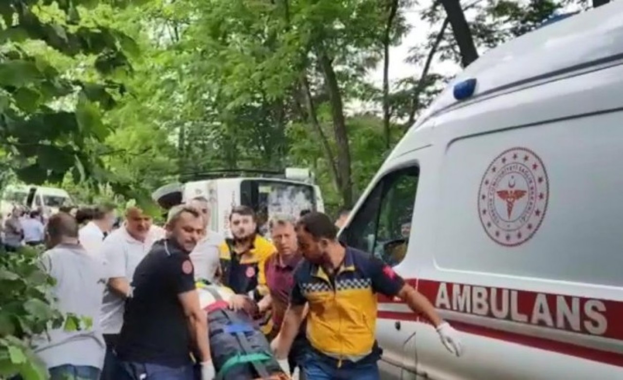 Ordu'da feci kaza:  Prof. Dr. Sıddık Korkmaz öldü,  19 kişi yaralandı