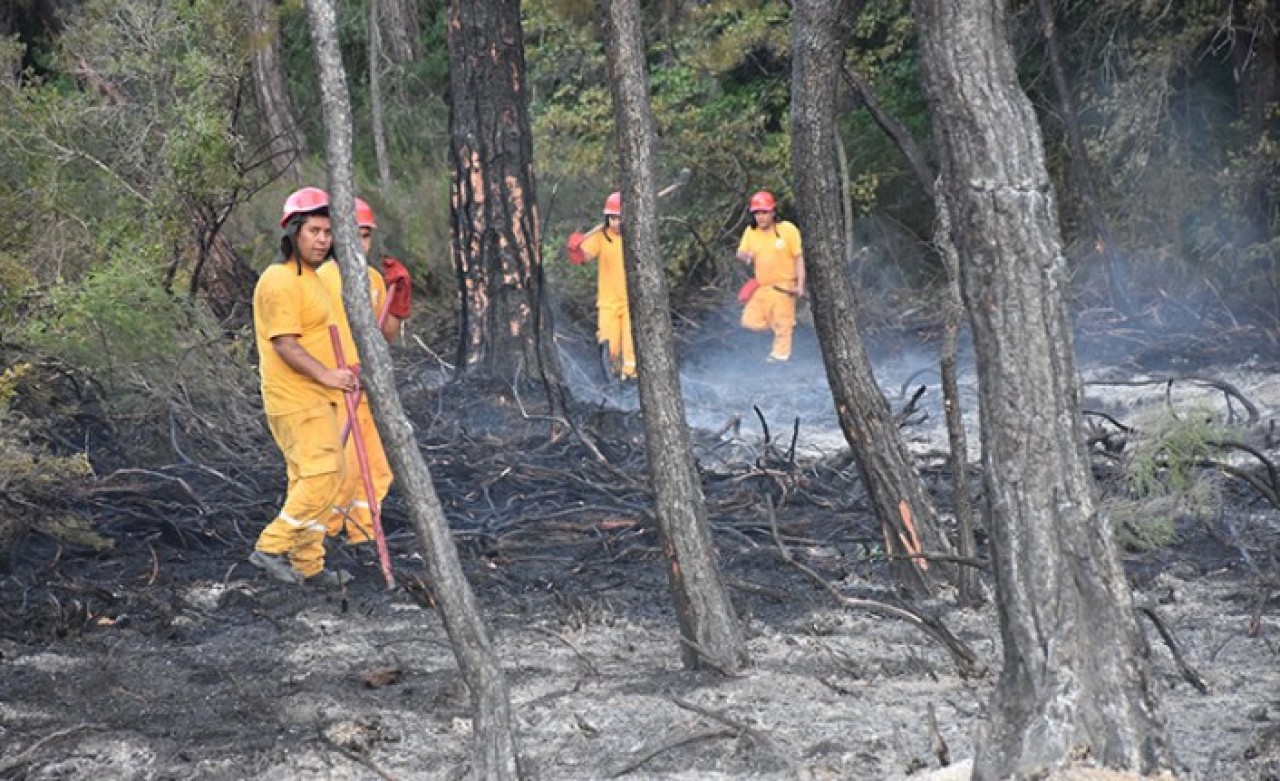 Son dakika: Vahit Kirişçi'ten Marmaris'teki orman yangını ile ilgili flaş açıklama