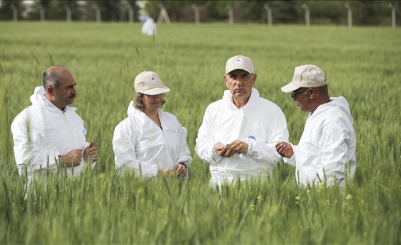 Tarım ve Orman Bakanı Kirişci: Allah'ın izniyle bu sene olumsuzluk yaşamayacağız