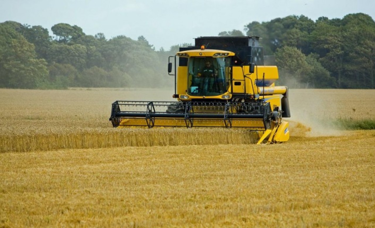 TMO prim destekleriyle depolarını dolduracak