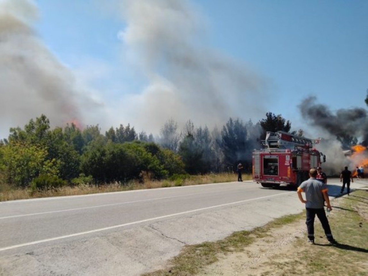 Balıkesir,  Bursa,  İzmir,  Çanakkale: Türkiye'nin dört bir yanında ormanlar yanıyor