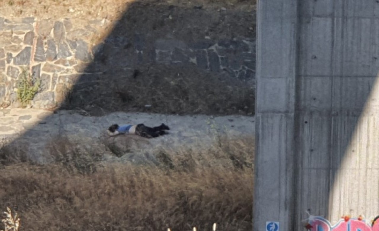 Çam sakura hastane viyadüğünde intihar!