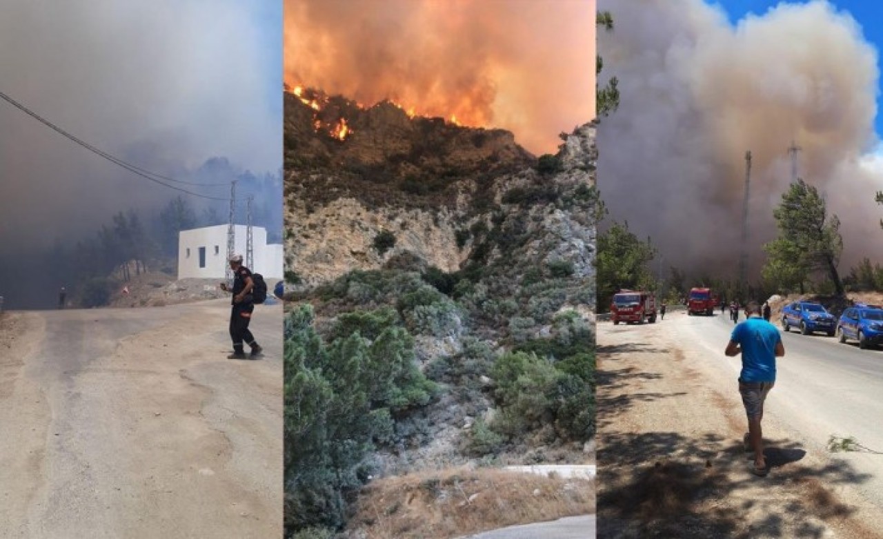Datça'da yangın büyüdü,  evlere sıçradı: Yaralılar var