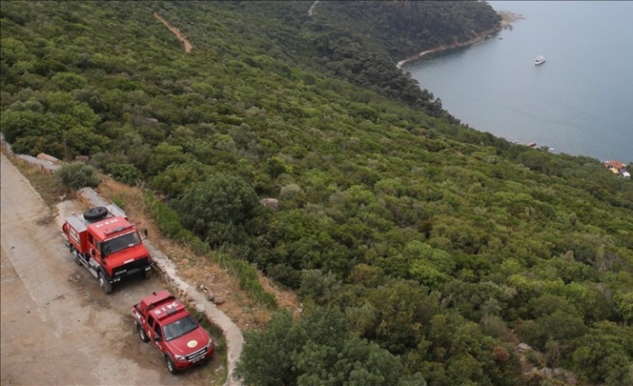 İstanbul ormanlarında "dumansız yangın"la mücadele