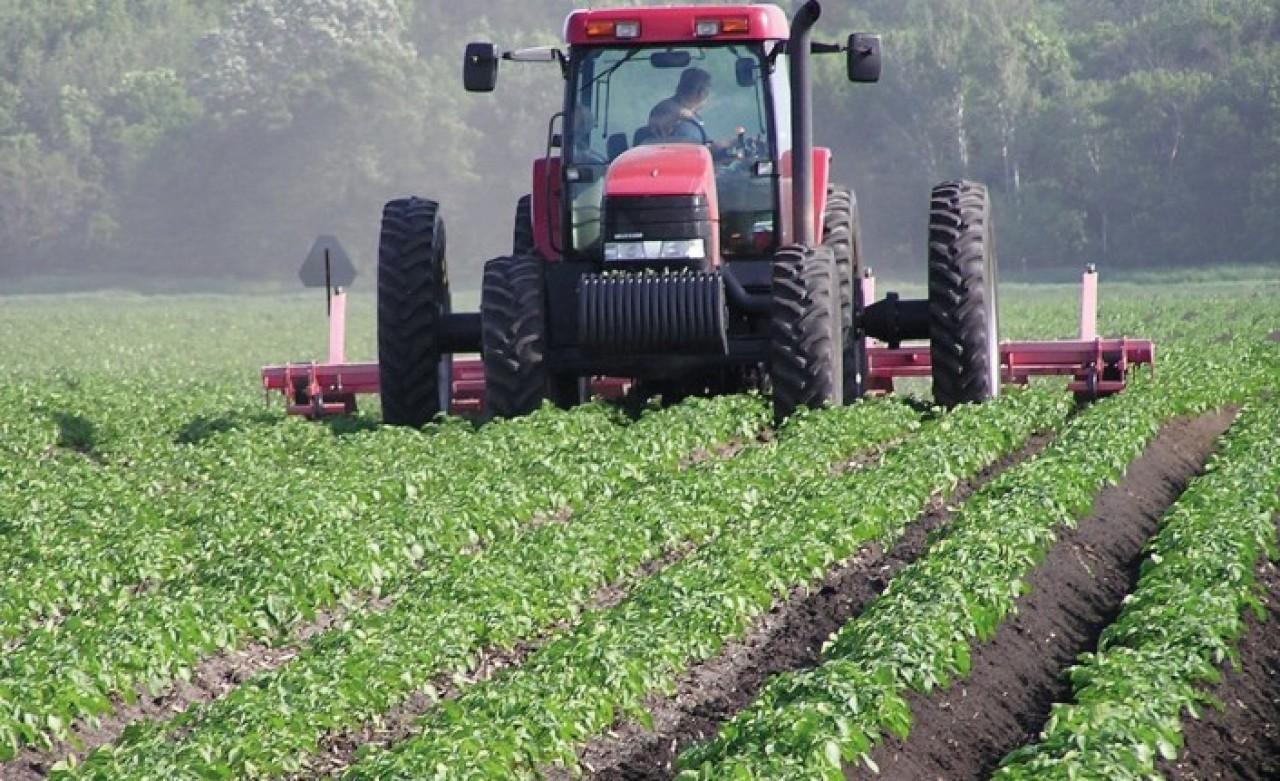 Tarım ÜFE haziranda yüzde 0, 66 azaldı