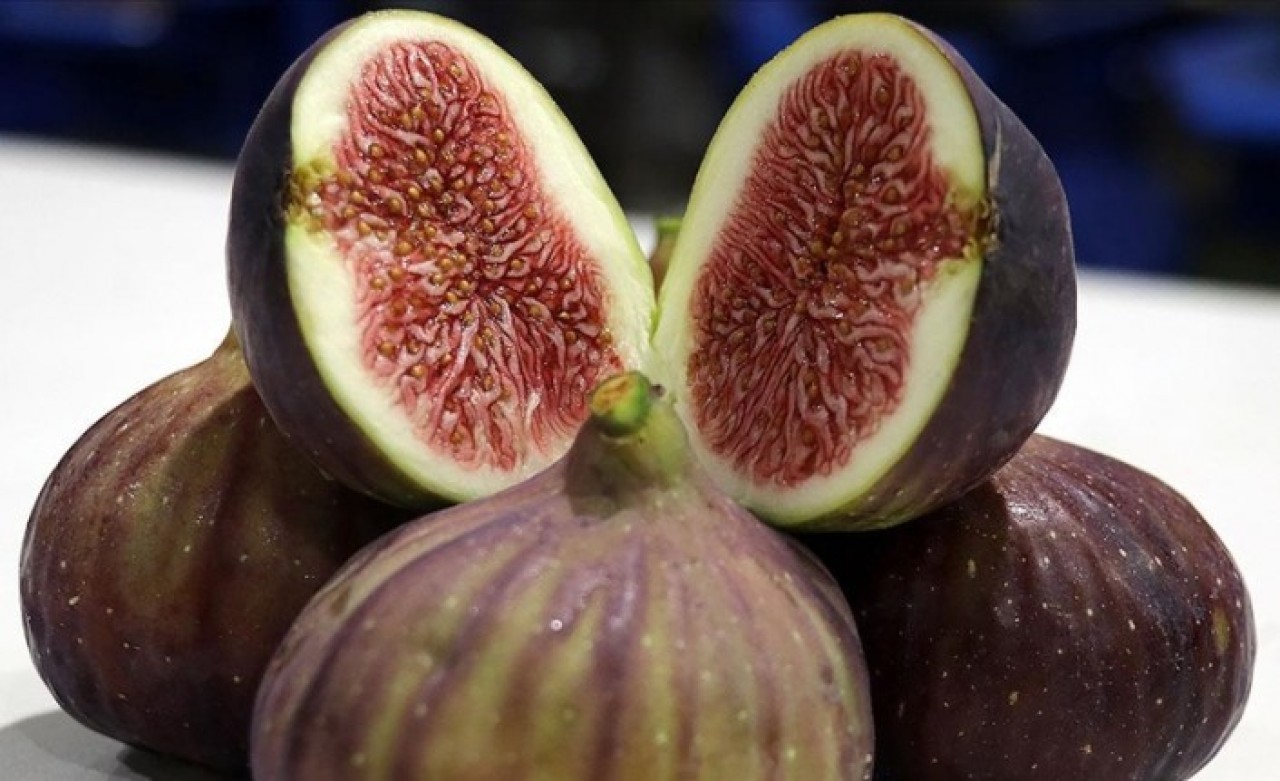 Taze incir ihracatında hedef 100 milyon dolar