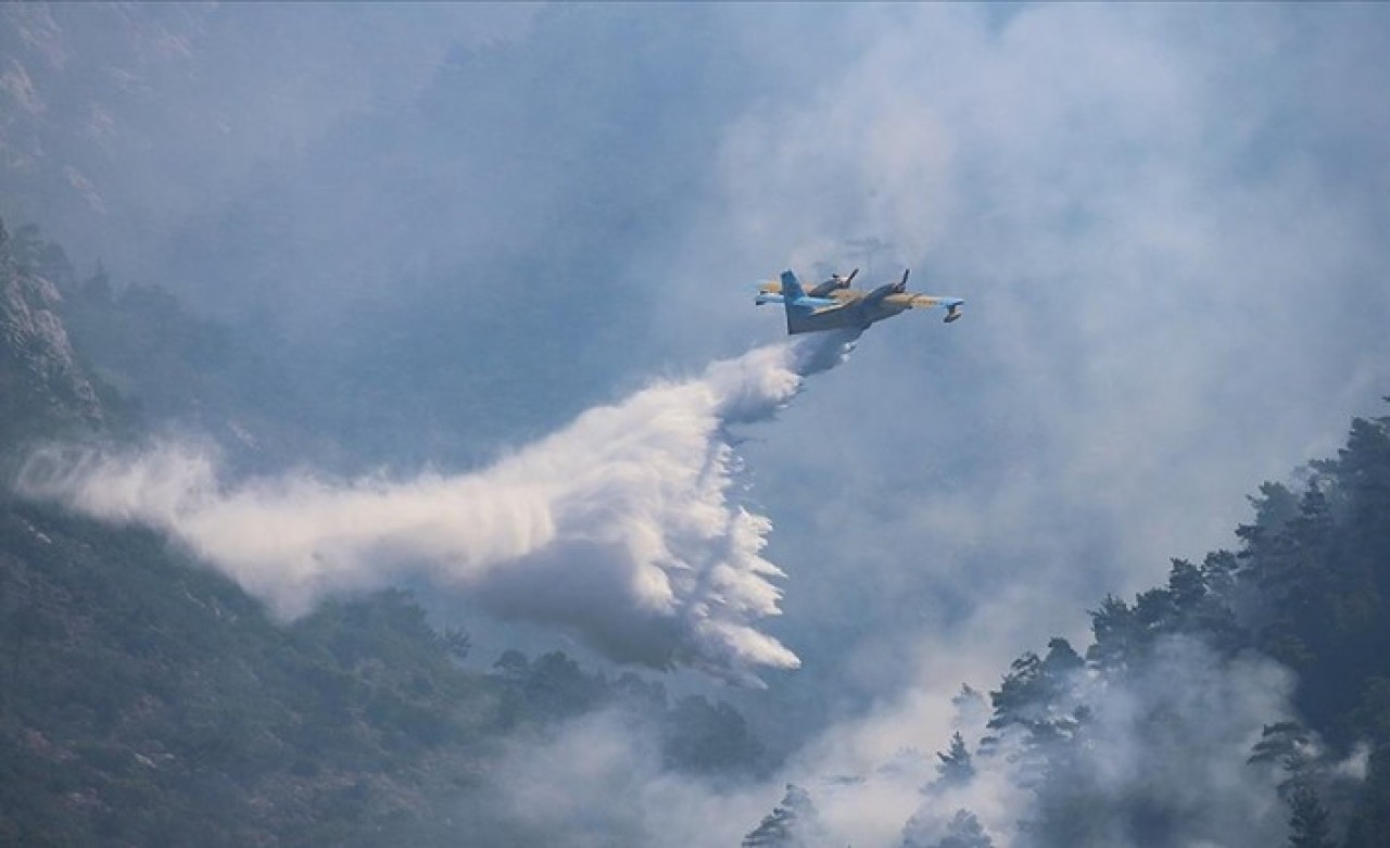 Uçaklar devreye girdi,  alevler bitti: Datça yangını kontrol altına alındı