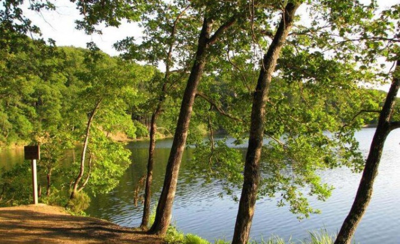 Valilik açıkladı: Dikkat! İstanbul'da bunu yapmak artık yasaklandı